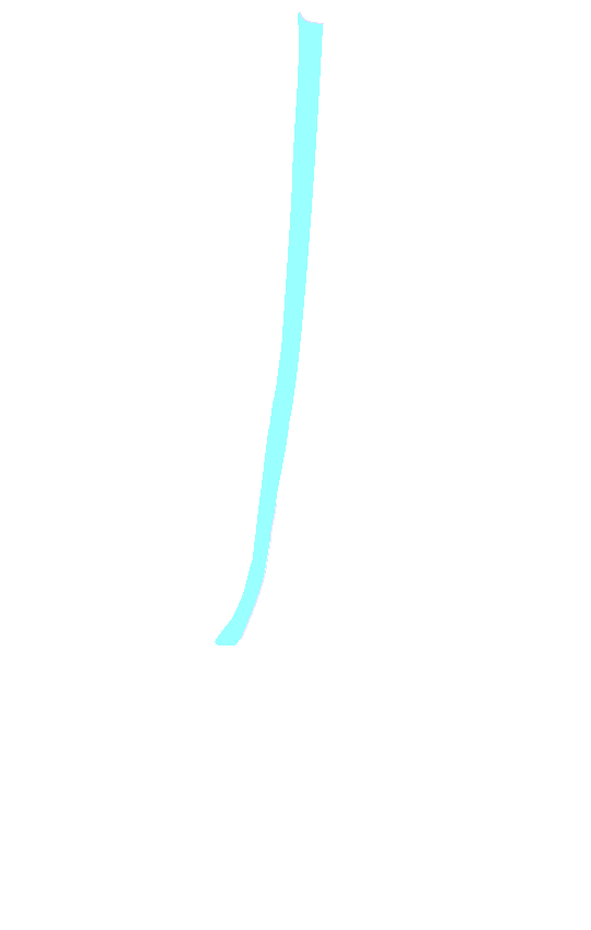 Lateral Supracondylar Line