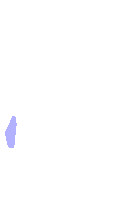 Lateral Epicondyle