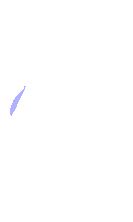 Lateral Epicondyle