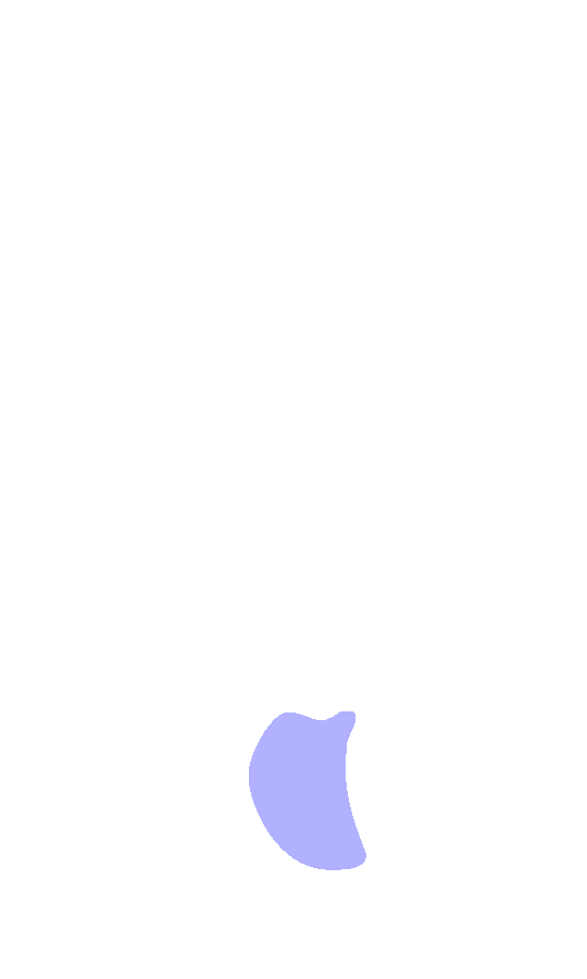 Intercondylar Fossa