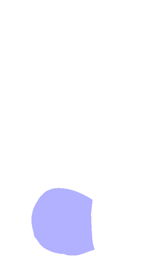 Lateral Condyle