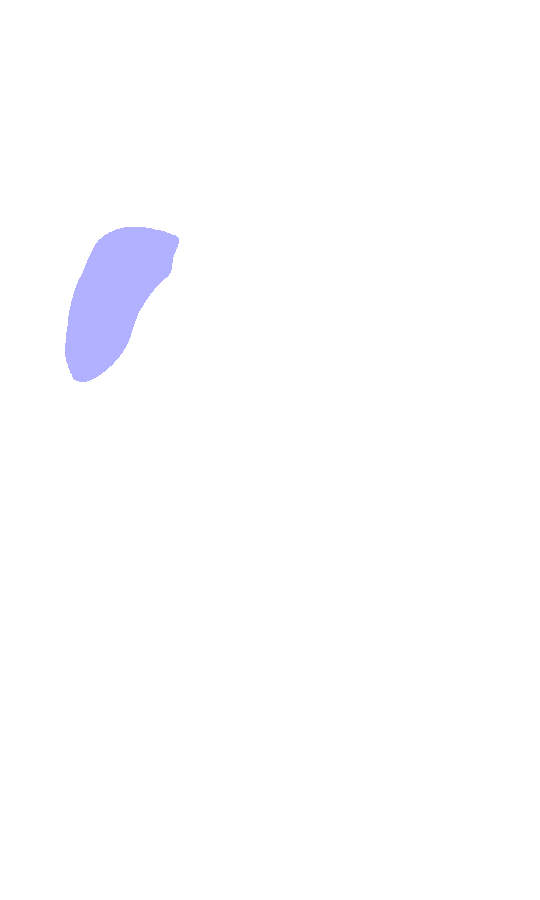 Greater Trochanter