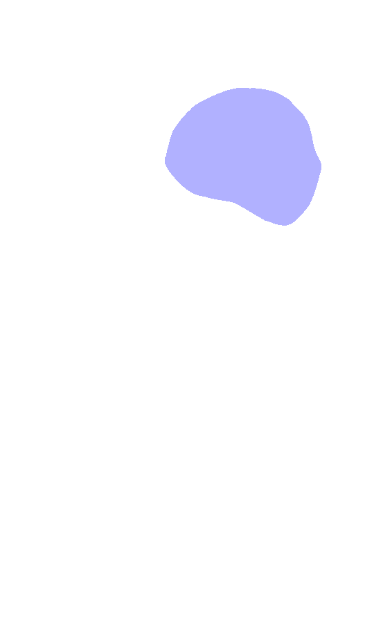 Head