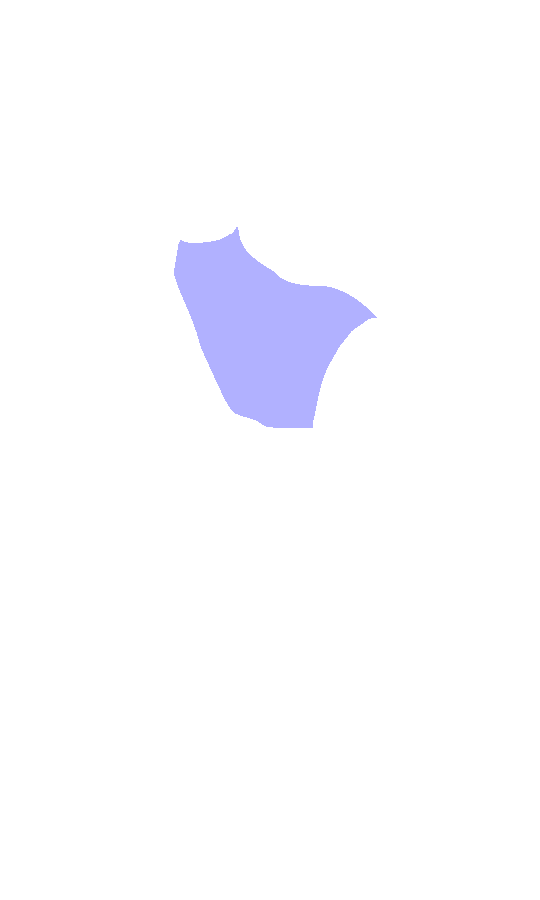 Neck