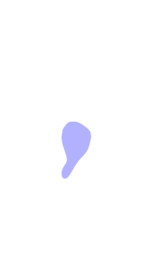Lesser Trochanter