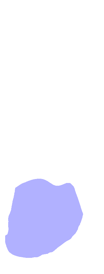 Lateral Malleolus