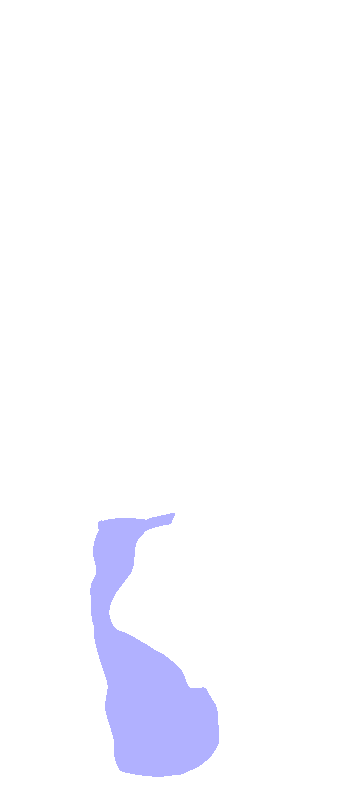 Calcaneus