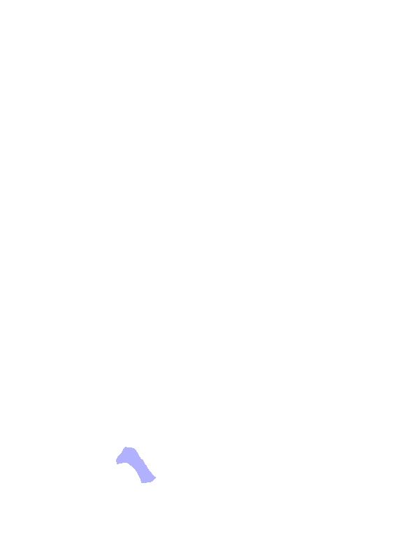 Triquetrum