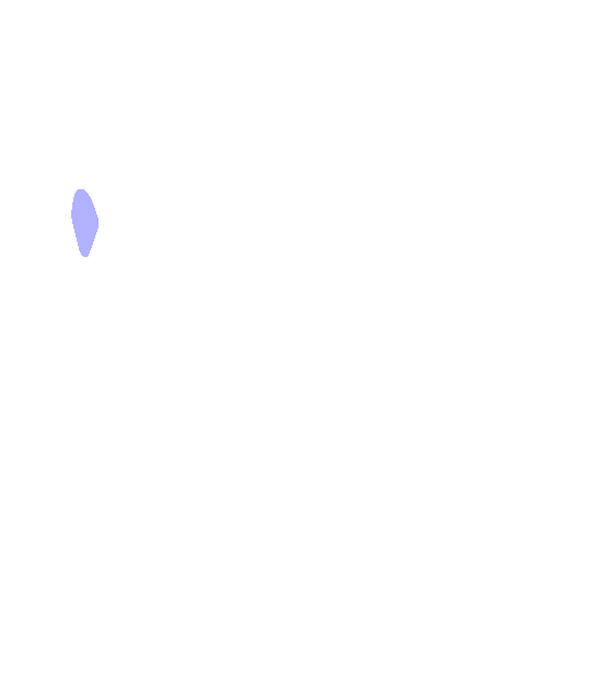 Anterior Inferior Iliac Spine