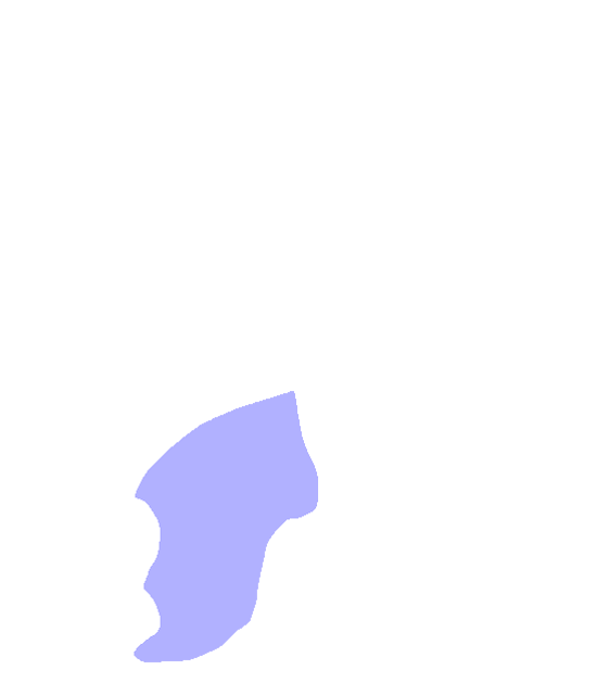 Ischium