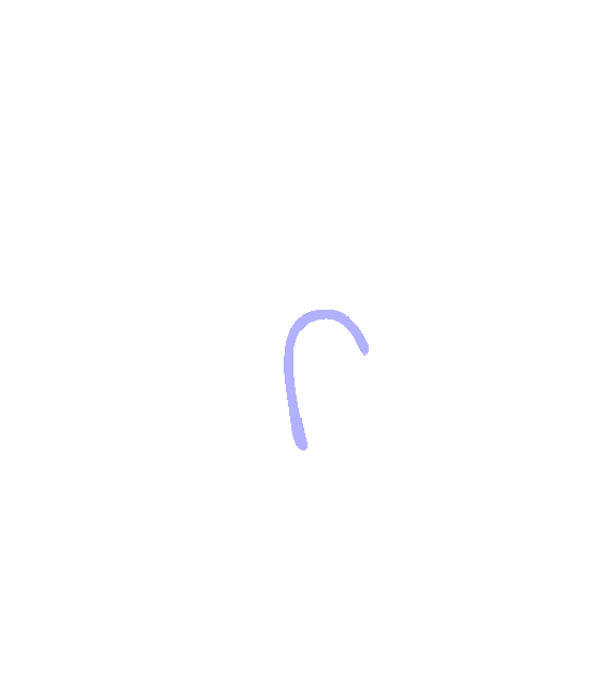 Greater Sciatic Notch