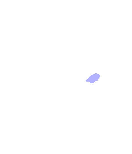 Posterior Inferior Iliac Spine