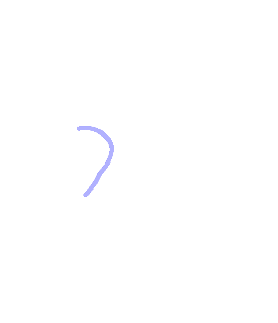 Greater Sciatic Notch