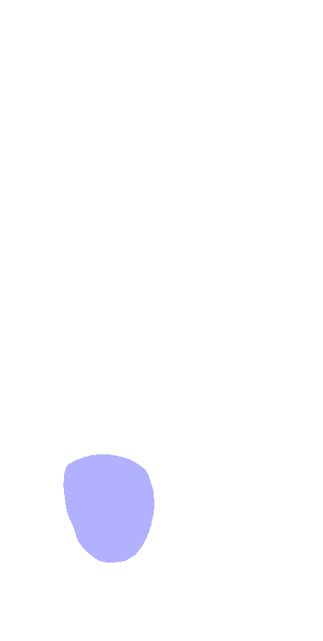 Capitulum
