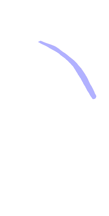 Anatomical Neck