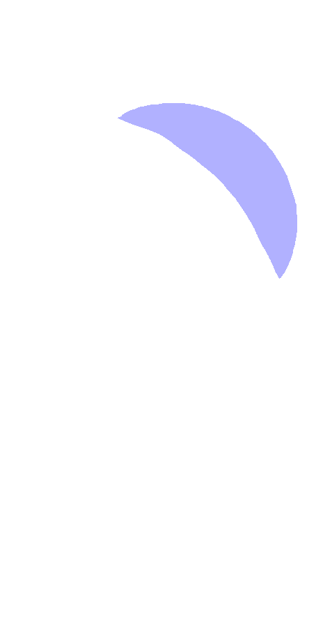 Head