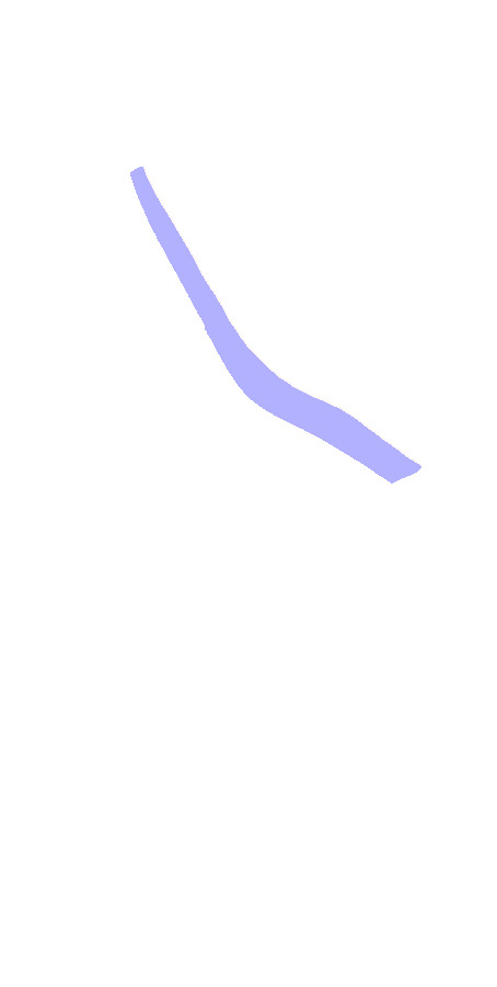 Anatomical Neck