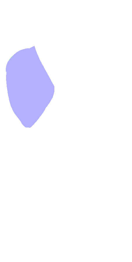 Greater Tubercle