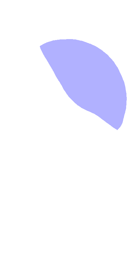 Head