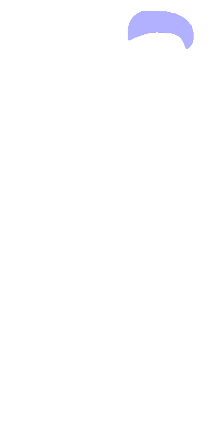 Head