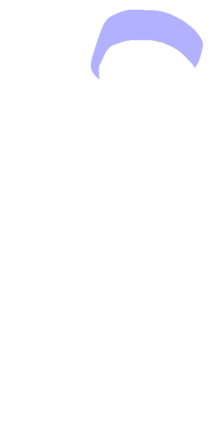 Head