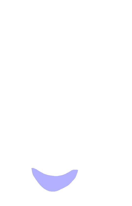 Inferior Angle