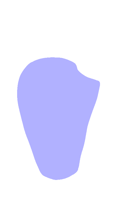 Subscapular Fossa