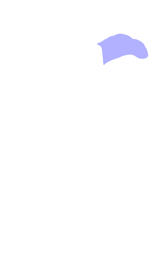 Coracoid Process