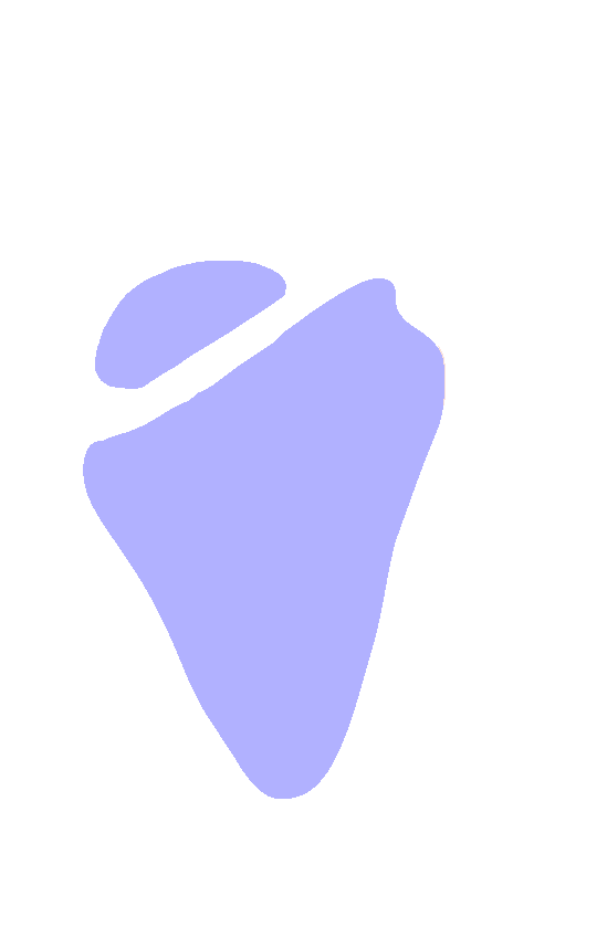 Supraspinous and Infraspinous Fossa
