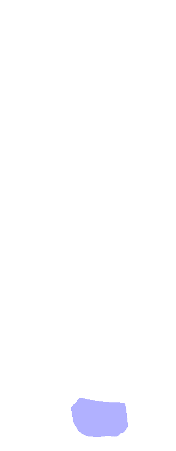 Head
