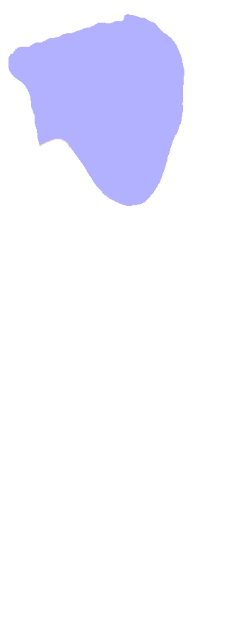 Olecranon