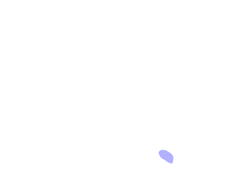 Inferior Articular Facets