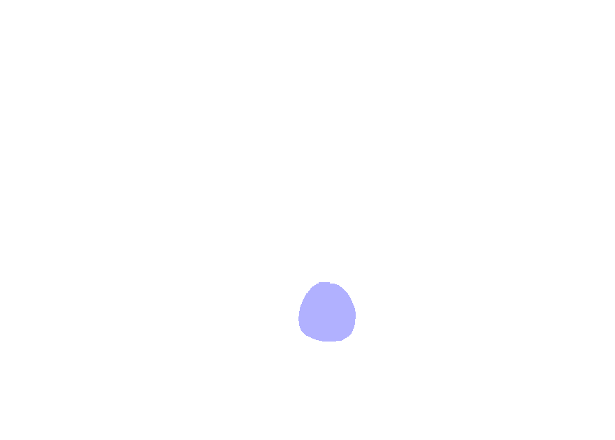 Transverse Foramen