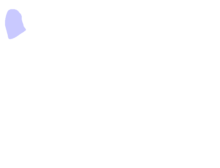 Condylar Process