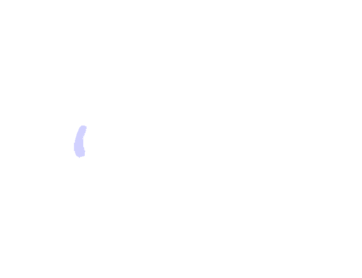 Mandibular Foramen