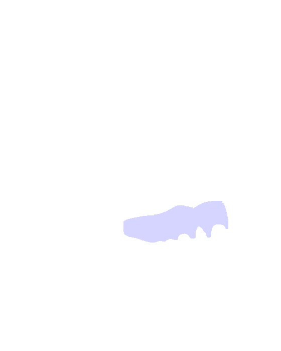Alveolar Process