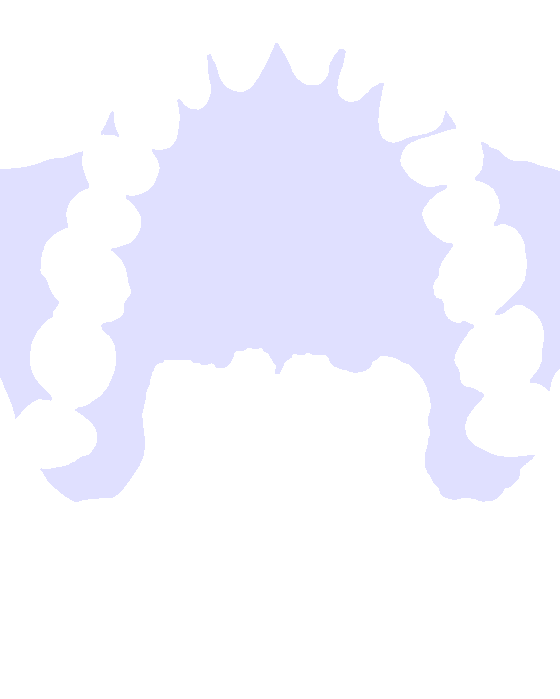 Palatine Process