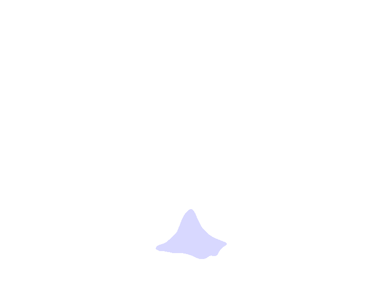 External Occipital Protuberance