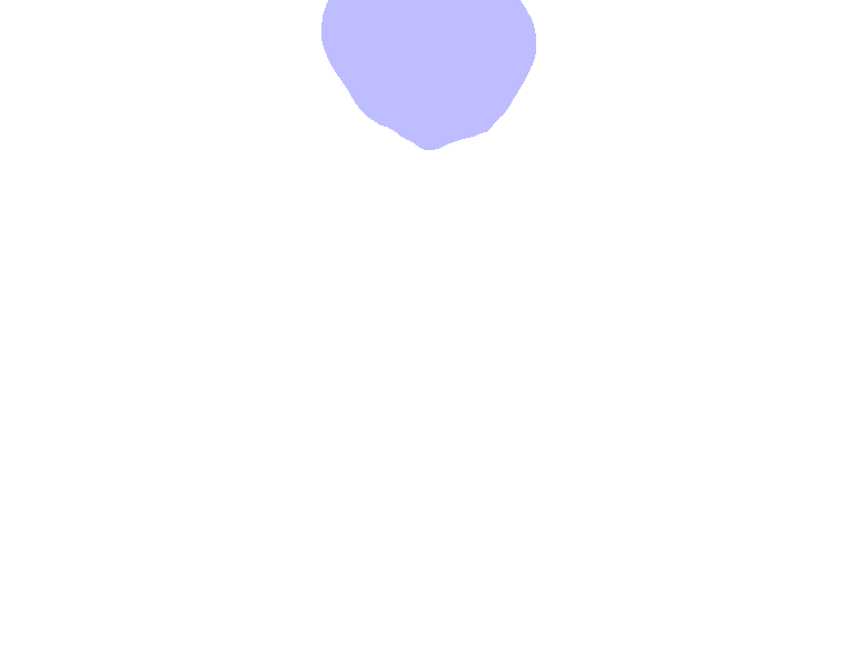 Foramen Magnum