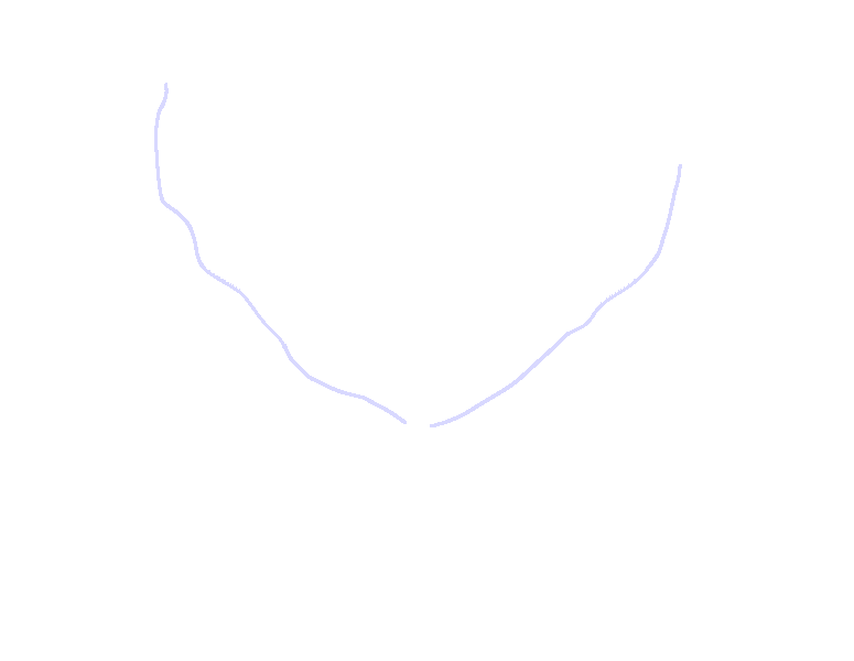 Inferior Nuchal Lines