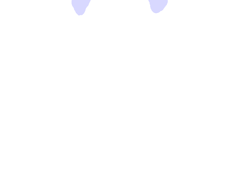 Occipital Condyles