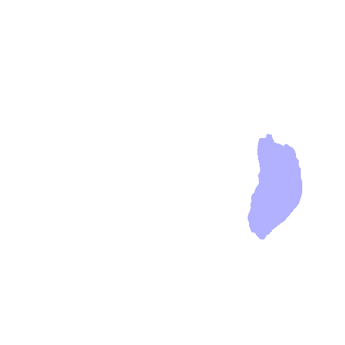 Lacrimal Bone