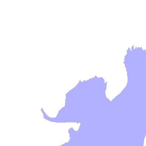 Maxilla