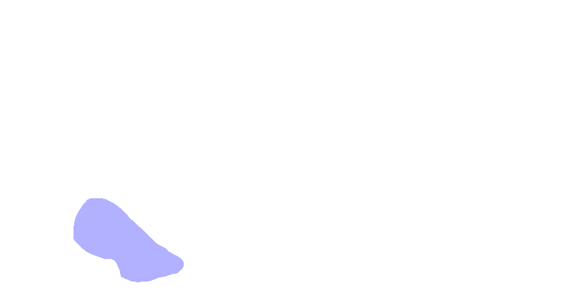 Articular Tubercle