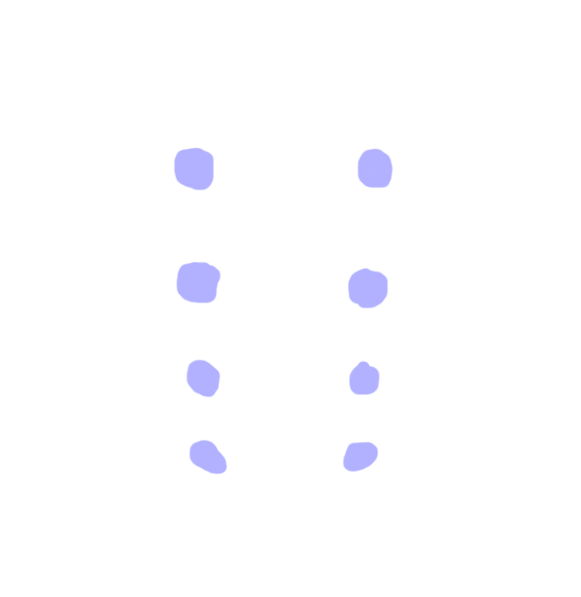 Sacral Foramina