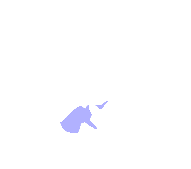 Mastoid Portion