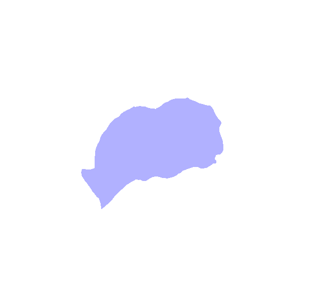 Squamous Portion