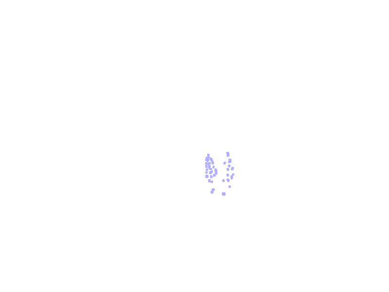Olfactory Foramina