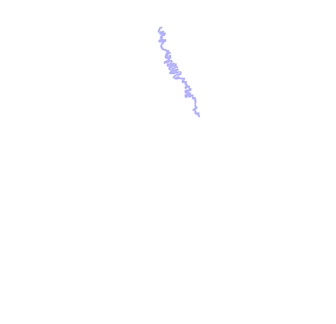 Coronal Suture