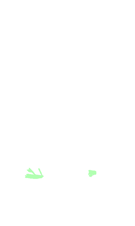 Vagus
